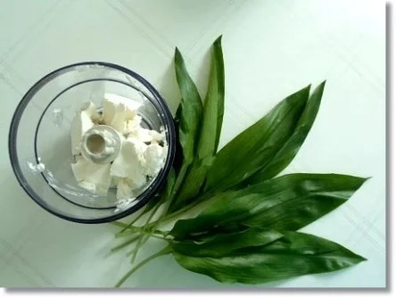 Rezept: Grüner Frühlings Smoothie Bild Nr. 4 Grüner Frühlings Smoothie - Rezept - Bild Nr. 4