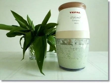 Rezept: Grüner Frühlings Smoothie Bild Nr. 5 Grüner Frühlings Smoothie - Rezept - Bild Nr. 5