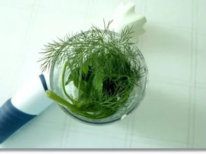 Rezept: Grüner Frühlings Smoothie Bild Nr. 6 Grüner Frühlings Smoothie - Rezept - Bild Nr. 6