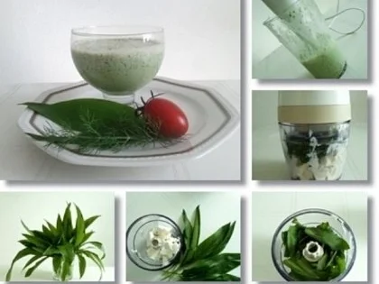 Rezept: Grüner Frühlings Smoothie Bild Nr. 11 Grüner Frühlings Smoothie - Rezept - Bild Nr. 11