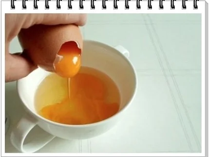 Rezept: Sülze - Ostereier auf Kräutersauce Bild Nr. 6 Sülze - Ostereier auf Kräutersauce - Rezept - Bild Nr. 6