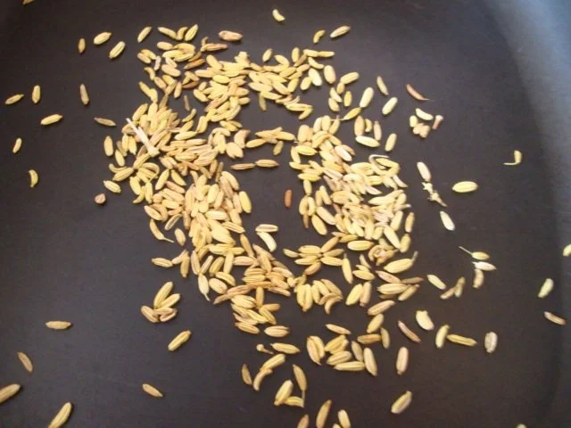 Rezept: Fenchelcremesüppchen fein abgeschmeckt Bild Nr. 11 Fenchelcremesüppchen fein abgeschmeckt - Rezept - Bild Nr. 11