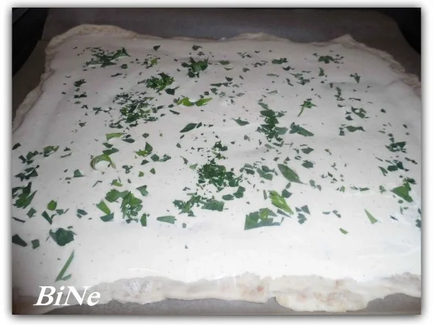 BiNe` S HÆHNCHEN - ZWIEBELPIZZA - Rezept - Bild Nr. 4