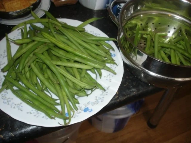 Korianderbuletten mit Sellerie-Kartoffelstampf und grünen Bohnen - Rezept - Bild Nr. 14