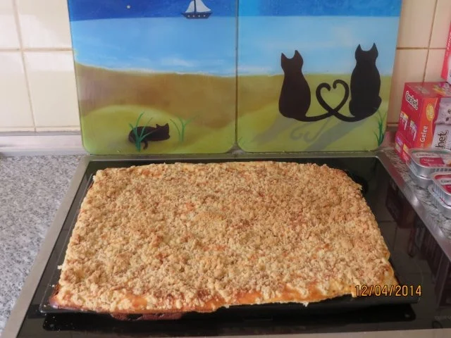 Aprikosen-Käse-Schnitte mit Haselnuss-Krokant - Rezept - Bild Nr. 2