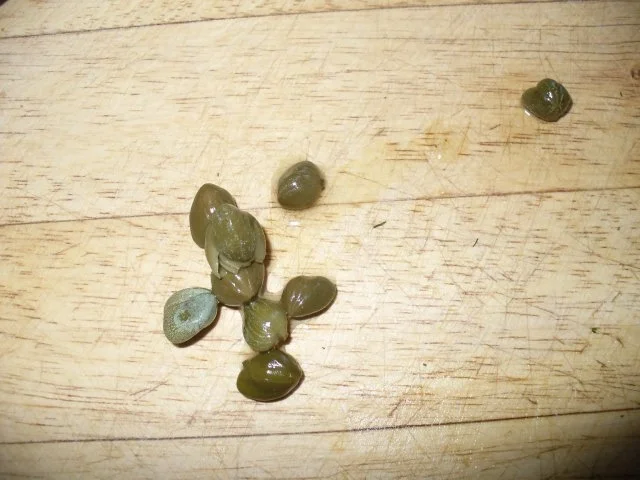 Mein Eiersalat - Rezept - Bild Nr. 4