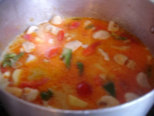 Hähnchenbrustfilet-Curry - Rezept - Bild Nr. 13