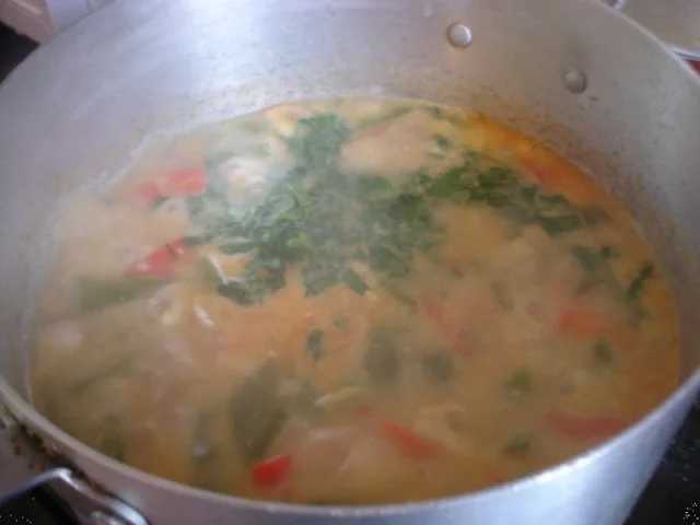 Hähnchenbrustfilet-Curry - Rezept - Bild Nr. 16