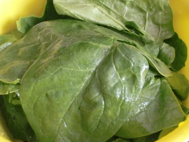 würziger Spinat - Rezept - Bild Nr. 2