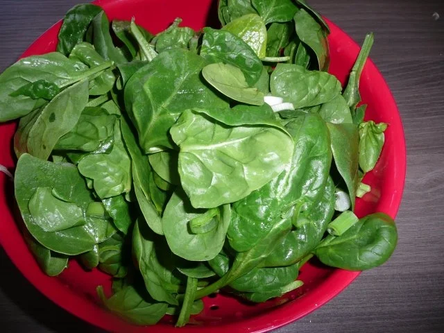 Rezept: Putengeschnetzeltes auf Spinatbett ! Bild Nr. 2 Putengeschnetzeltes auf Spinatbett ! - Rezept - Bild Nr. 2