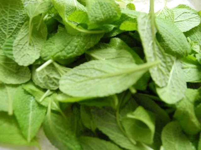 Gnocchi mit Salbei - Rezept - Bild Nr. 2