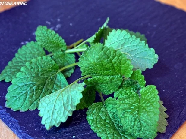 Rezept: Austria meets Asia Bild Nr. 14 Austria meets Asia - Rezept - Bild Nr. 14