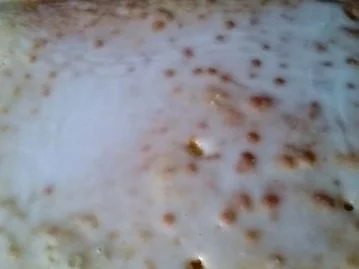 Rezept: Saftiger Zitronenblechkuchen Bild Nr. 2 Saftiger Zitronenblechkuchen - Rezept - Bild Nr. 2