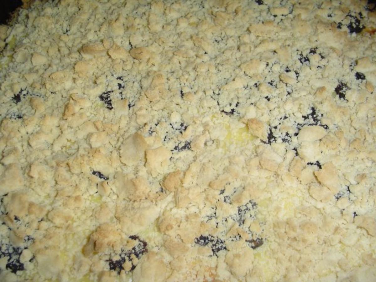 Pudding-Mohn-Streuselkuchen - Rezept