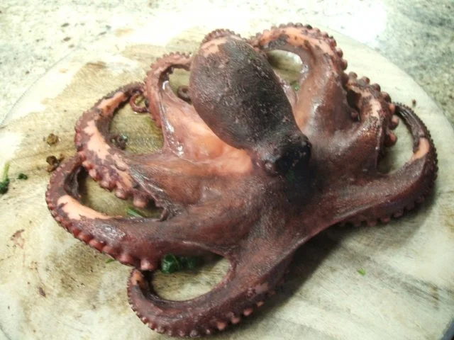 Fisch: Insalata di Pulpo - Rezept - Bild Nr. 3