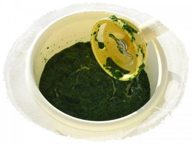 Spinat-Spätzle mit Gorgonzolasauce und Spiegelei - Rezept - Bild Nr. 6