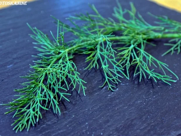 Dill-Gemüse - Rezept - Bild Nr. 4