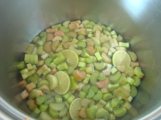 Rhabarbersüppchen - Rezept - Bild Nr. 7