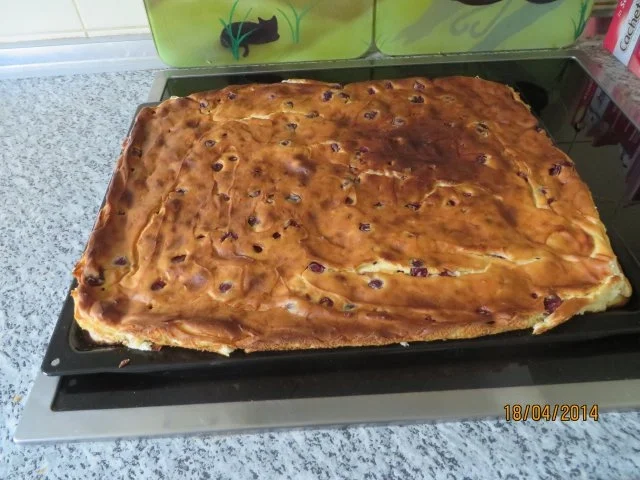 Saftige Käse-Kirsch Schnitten - Rezept - Bild Nr. 5