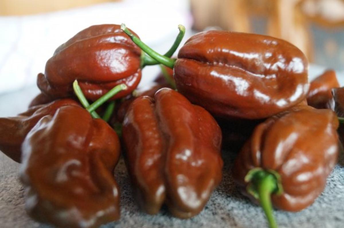 ChocolateHabanero MinzePesto Rezept kochbar.de