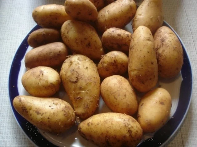 Rezept: Spargel mit Seelachsfilet im Bierteig, Petersilienkartoffeln und Sauce Hollandaise Bild Nr. 4 Spargel mit Seelachsfilet im Bierteig, Petersilienkartoffeln und Sauce Hollandaise - Rezept - Bild Nr. 4