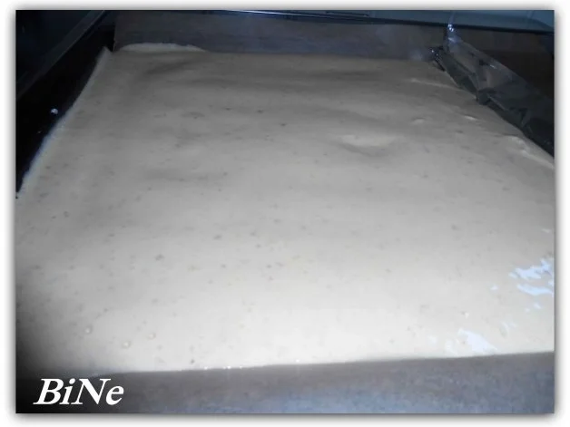 BiNe` S HIMBEER - QUARK - SCHNITTEN - Rezept - Bild Nr. 5