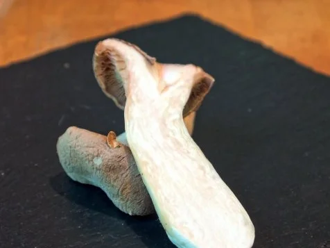 Rinderfilet NT, Rotweinsauce, Kräuterpolenta-Schnitten, Kräuterseitlinge - Rezept - Bild Nr. 16