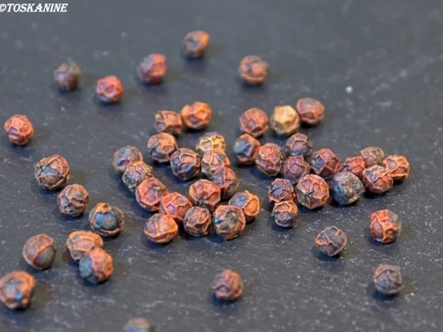 Rinderfilet NT, Rotweinsauce, Kräuterpolenta-Schnitten, Kräuterseitlinge - Rezept - Bild Nr. 17