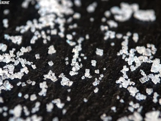 Rinderfilet NT, Rotweinsauce, Kräuterpolenta-Schnitten, Kräuterseitlinge - Rezept - Bild Nr. 18