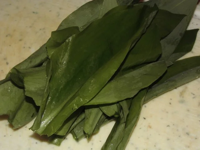 Rezept: Entenbrust mit Granatapfel - Rotwein - Reduktion, Spargel, Bärlauchbutter und Bandnnudeln Bild Nr. 5 Entenbrust mit Granatapfel - Rotwein - Reduktion, Spargel, Bärlauchbutter und Bandnnudeln - Rezept - Bild Nr. 5