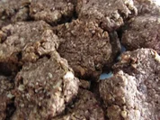 Kokos-Kekse - Rezept