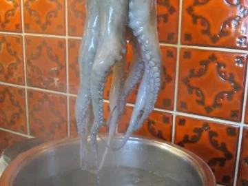 Rezept: Pulpo a la Gallega - Tintenfisch nach galizischer Art Bild Nr. 3 Pulpo a la Gallega - Tintenfisch nach galizischer Art - Rezept - Bild Nr. 3