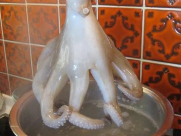 Pulpo a la Gallega Tintenfisch nach galizischer Art - einfach - von ...