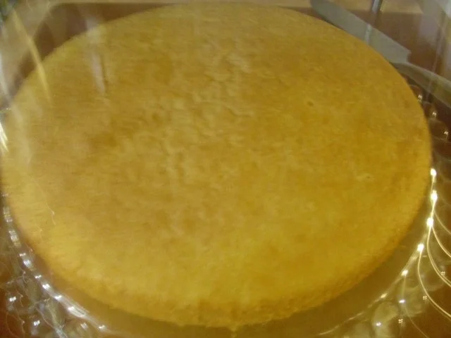 Rezept: Mandarin-Orangen Torte Bild Nr. 5 Mandarin-Orangen Torte - Rezept - Bild Nr. 5