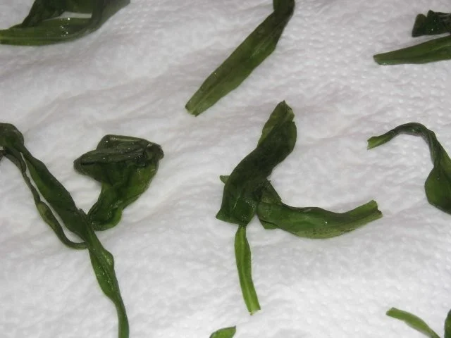 Rezept: Mascarpone - Estragon - Mousse mit Früchten und Filoteigblättern Bild Nr. 4 Mascarpone - Estragon - Mousse mit Früchten und Filoteigblättern - Rezept - Bild Nr. 4