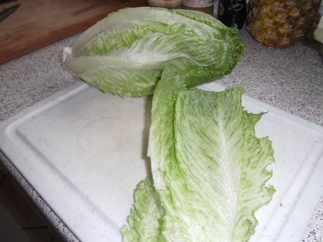 Tintenfischfilet gekocht auf Salat - Rezept - Bild Nr. 2