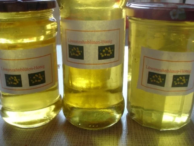 Löwenzahnblüten-Honig - Rezept