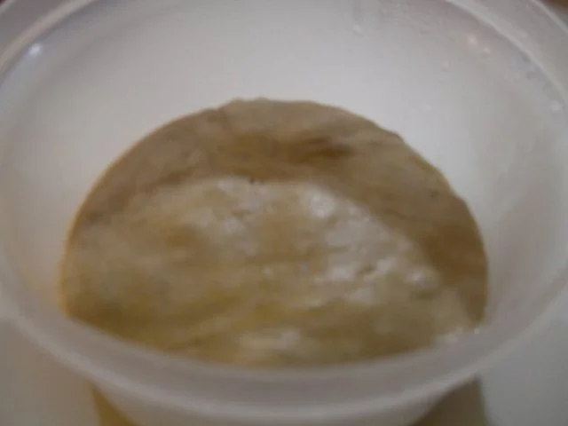 Rezept: Lievito madre = italienische Mutterhefe (Sauerteig) Bild Nr. 5 Lievito madre = italienische Mutterhefe (Sauerteig) - Rezept - Bild Nr. 5