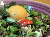 Belugalinsen-Salat mit grünem Spargel und in Öl gegartem Eigelb - Rezept