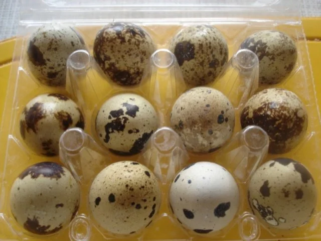 Rezept: Shakshuka Bild Nr. 3 Shakshuka - Rezept - Bild Nr. 3