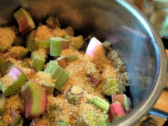 Rhabarber-Mousse mit Himbeeren - Rezept - Bild Nr. 4