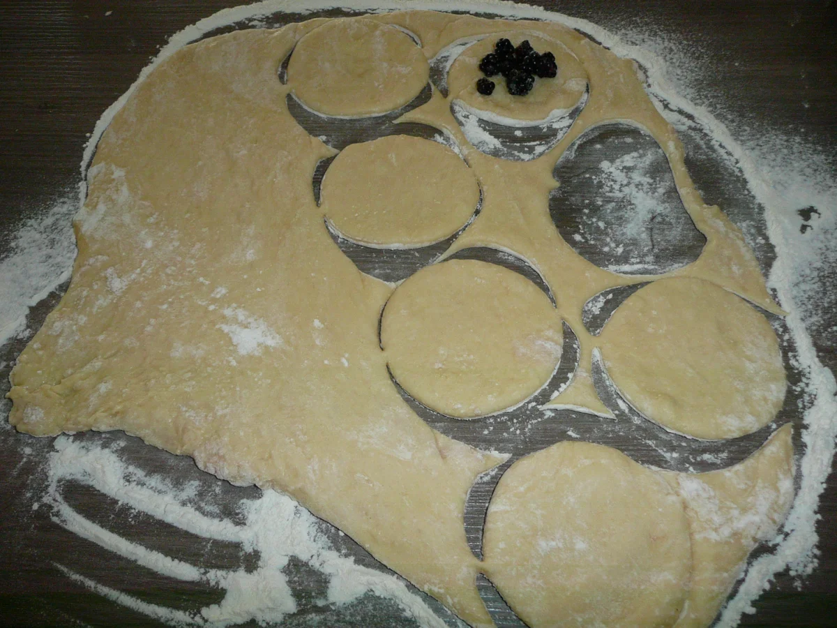 Dumplings eine chinesische Spezalität. - Rezept - Bild Nr. 294