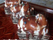 Schaum Oreo Oblaten - Rezept