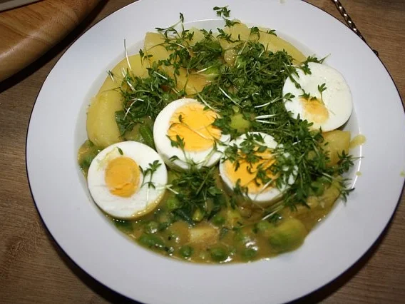 Rezept: Senfeier Senfeier - Rezept