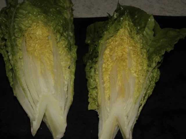 Rezept: Rinder - Minuten - Steak, grobe Kartoffeln und warmer Romana Salat Bild Nr. 6 Rinder - Minuten - Steak, grobe Kartoffeln und warmer Romana Salat - Rezept - Bild Nr. 6