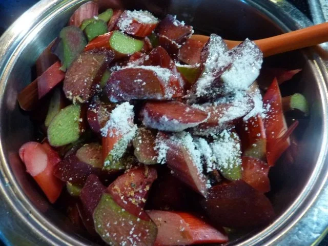 Dessert: Rhabarberkompott - Rezept - Bild Nr. 3