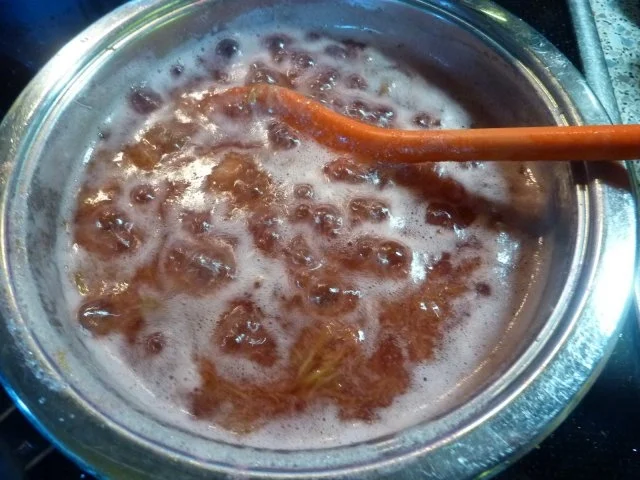 Dessert: Rhabarberkompott - Rezept - Bild Nr. 4