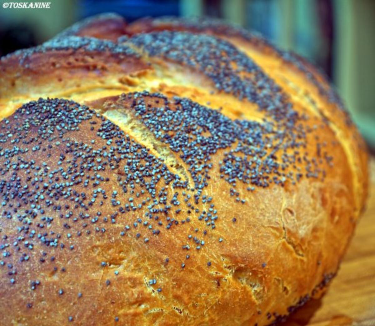 Würziges Mohn-Weißbrot - Rezept - Bild Nr. 11