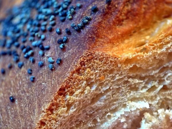 Würziges Mohn-Weißbrot - Rezept - Bild Nr. 14