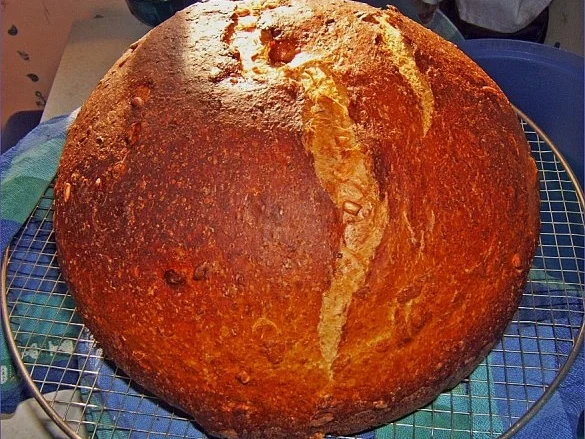 Rezept: Buttermilchbrot mit Weizenvollkornmehl und Sonnenblumenkernen Buttermilchbrot mit Weizenvollkornmehl und Sonnenblumenkernen - Rezept